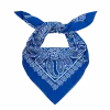 Bandana Cornflower