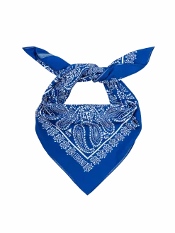 Bandana Cornflower