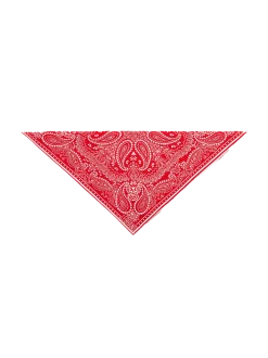 Bandana Mini Red