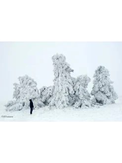 Below zero