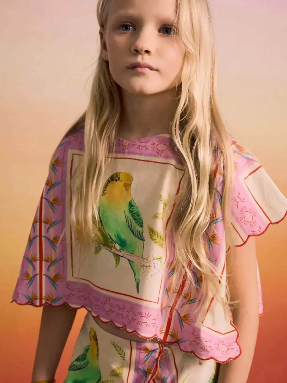 Birds Patchwork Top