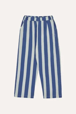 Blue Stripes Washed Trousers
