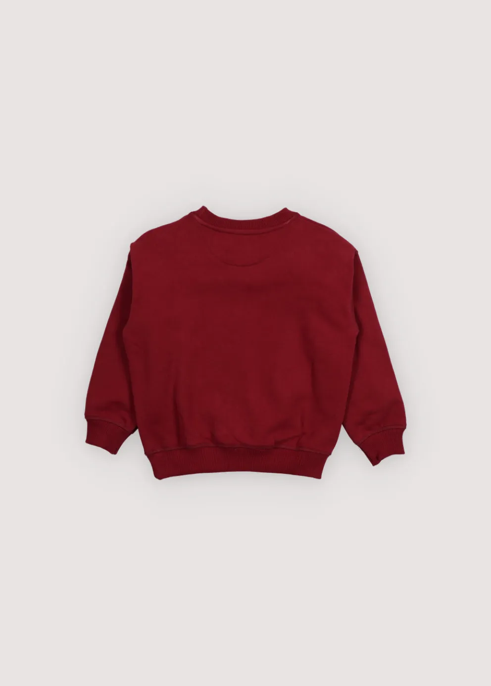 Bluza TNS Logo Sweatshirt