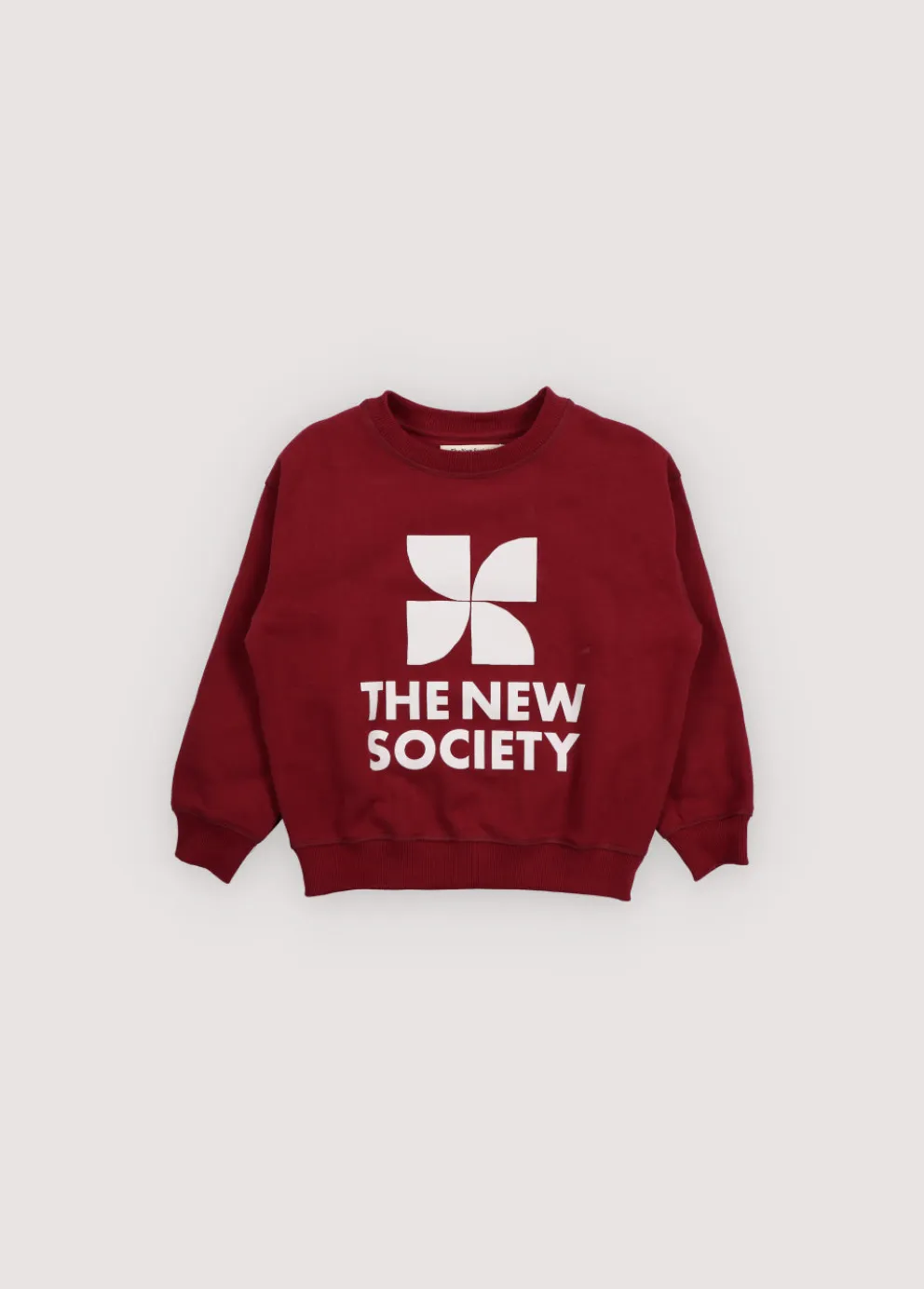 Bluza TNS Logo Sweatshirt
