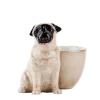 Ceramiczna podstawka na jajko