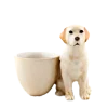 Ceramiczna podstawka na jajko