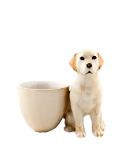 Ceramiczna podstawka na jajko