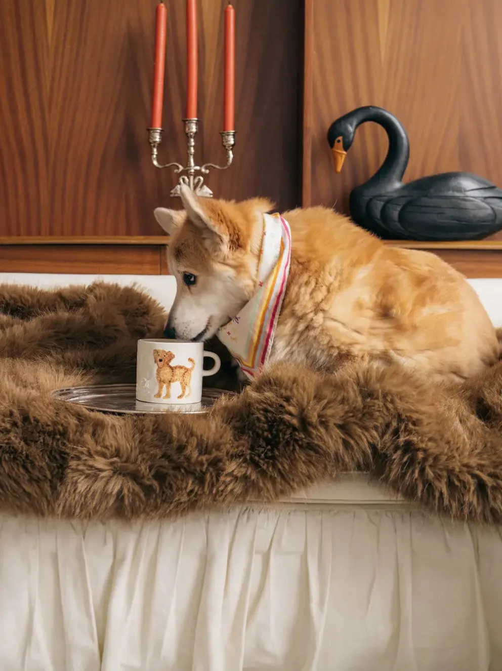 Ceramiczny kubek Corgi