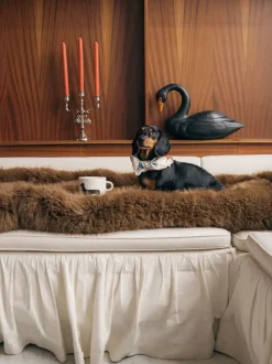 Ceramiczny kubek Dachshund