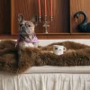 Ceramiczny kubek French Bulldog