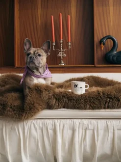 Ceramiczny kubek French Bulldog