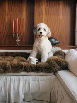 Ceramiczny kubek Poodle