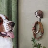 Drewniany haczyk Springer Spaniel