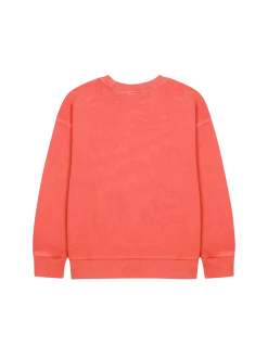 Elephant Pigment Sweatshirt