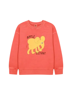 Elephant Pigment Sweatshirt