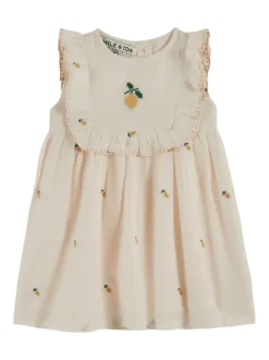 Embroidery Baby Dress