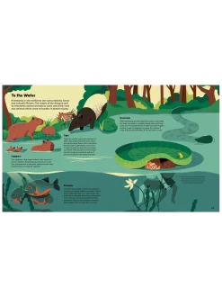 Explore the Rainforest