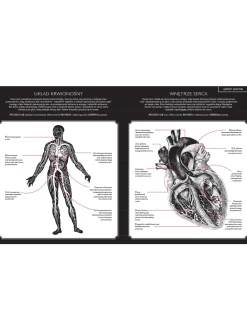 Gabinet anatomii