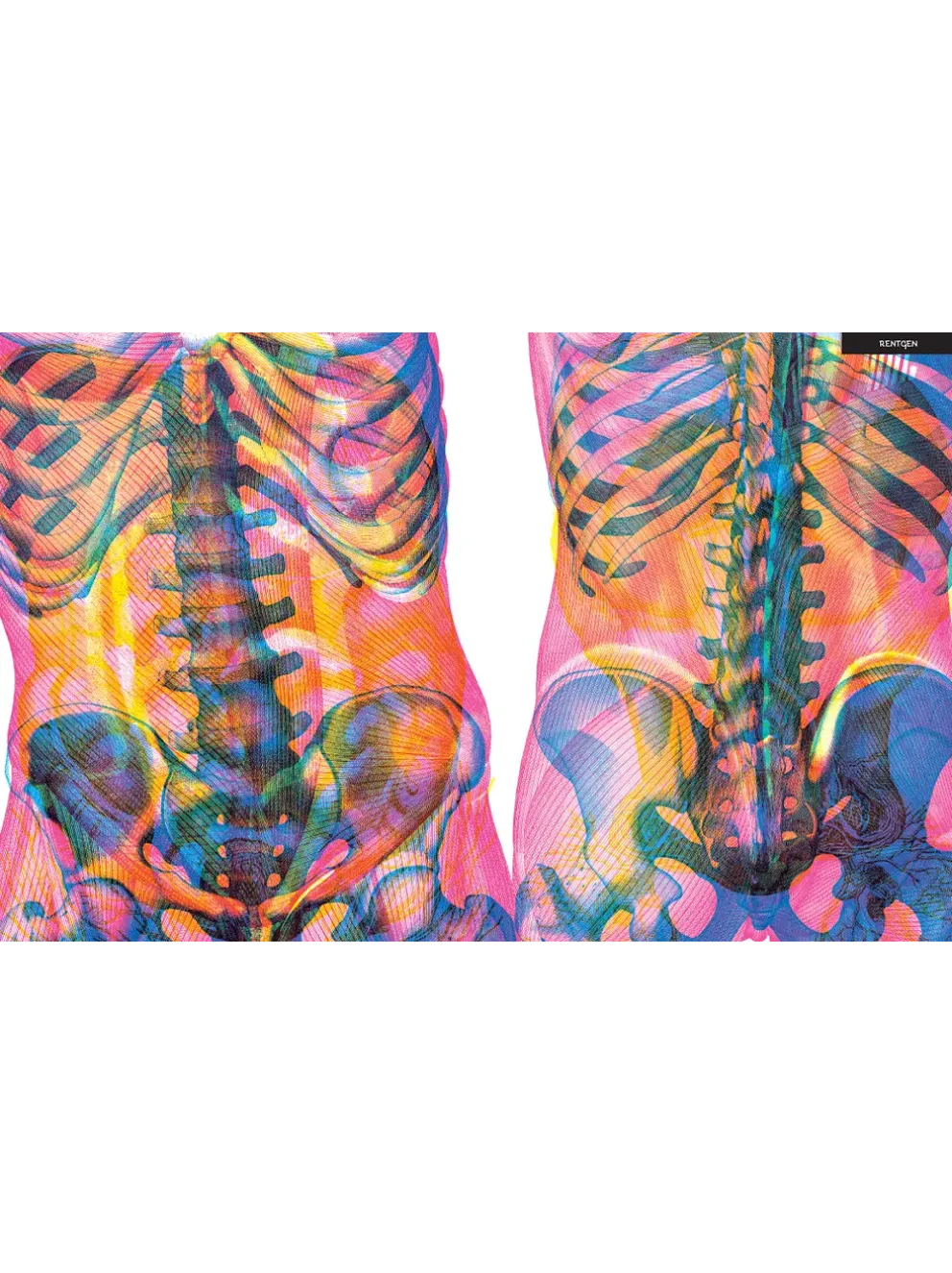 Gabinet anatomii