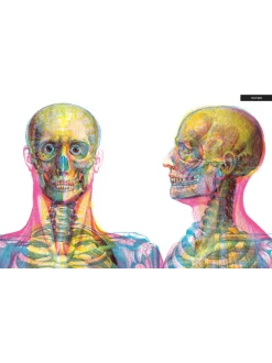 Gabinet anatomii