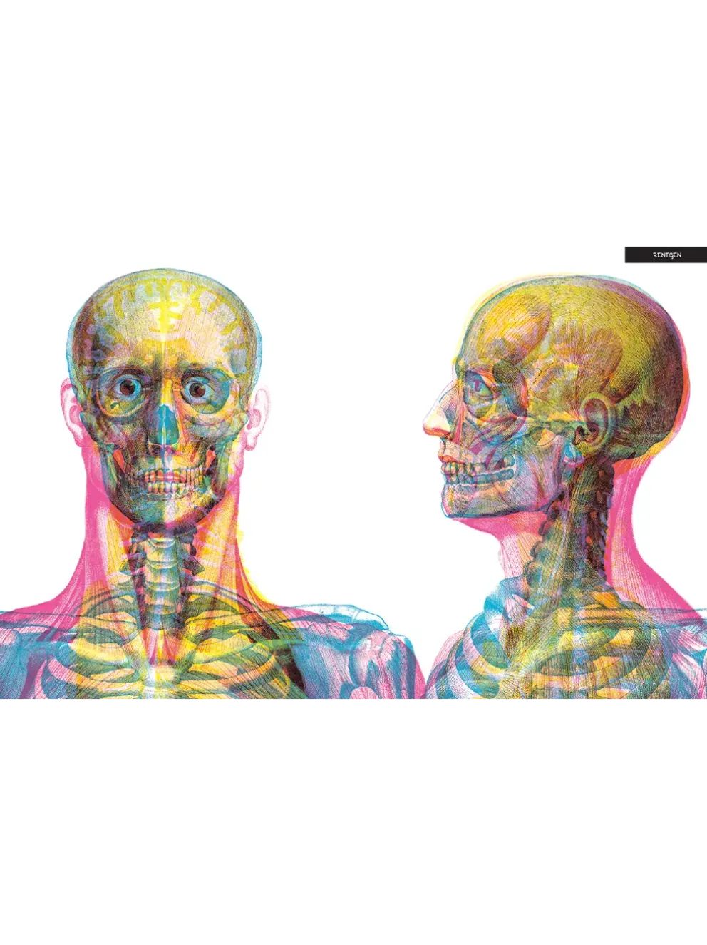 Gabinet anatomii