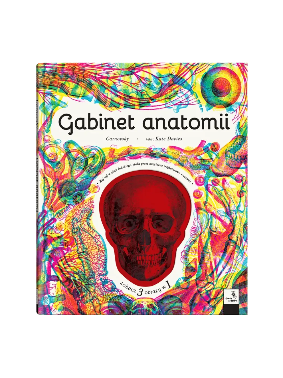 Gabinet anatomii