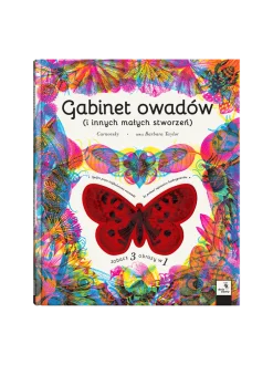 Gabinet owadów