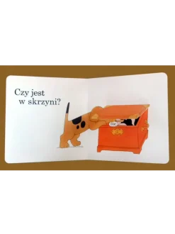 Gdzie jest Spot?
