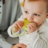 Gryzak wodny Motyl 4m+