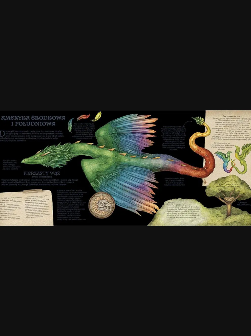 Historia naturalna stworzeń magicznych