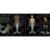 Historia naturalna syren