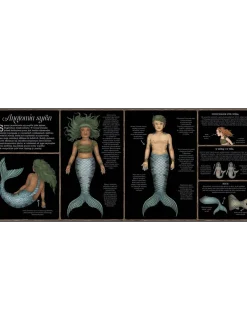 Historia naturalna syren