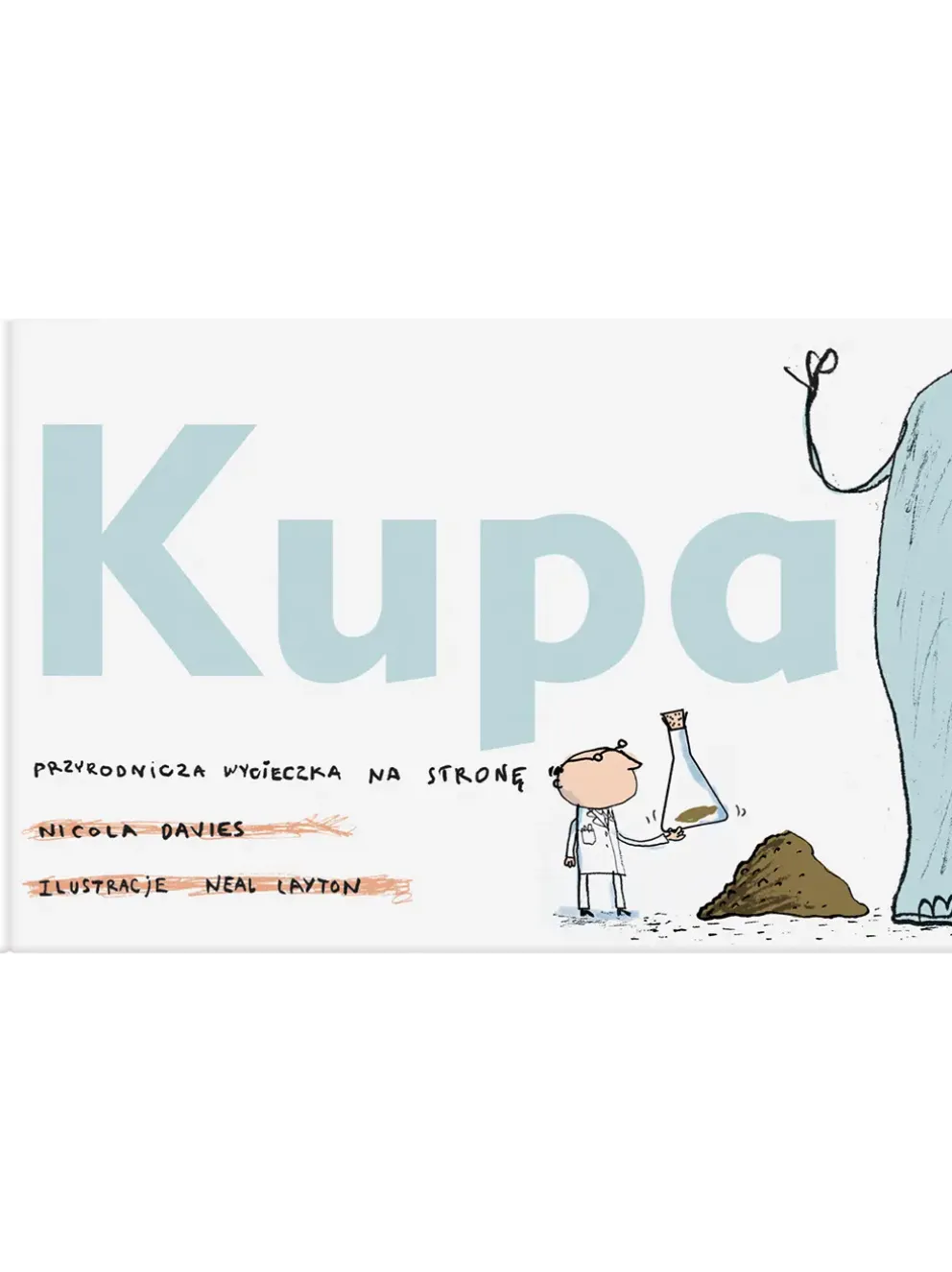 Kupa