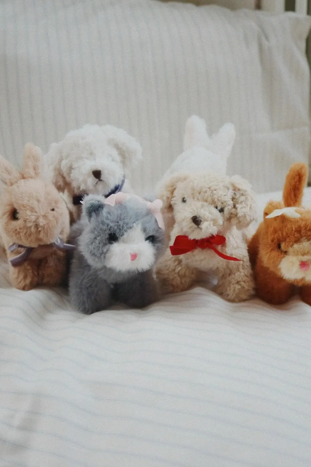 Mini przytulanka Biały Królik Baby Animal