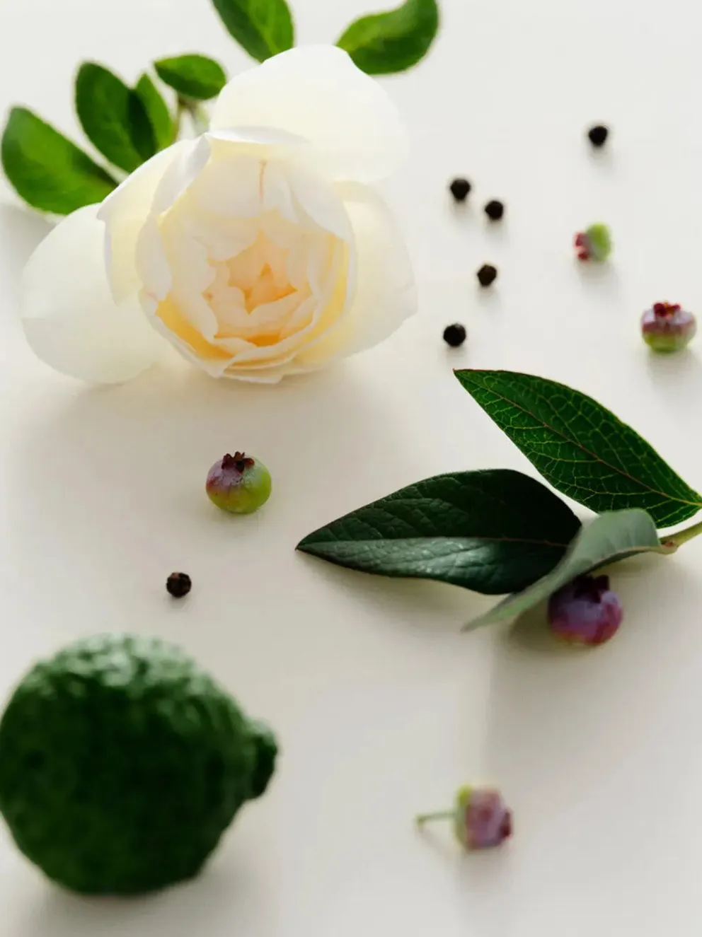 Naturalne perfumy w olejku Cassis