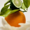 Naturalne perfumy w olejku No. 12