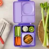 OmieBox lunchbox z termosem i przegródkami