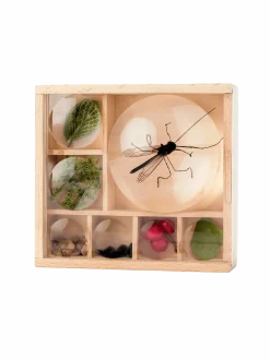 Organizer na skarby Huckleberry My Little Museum