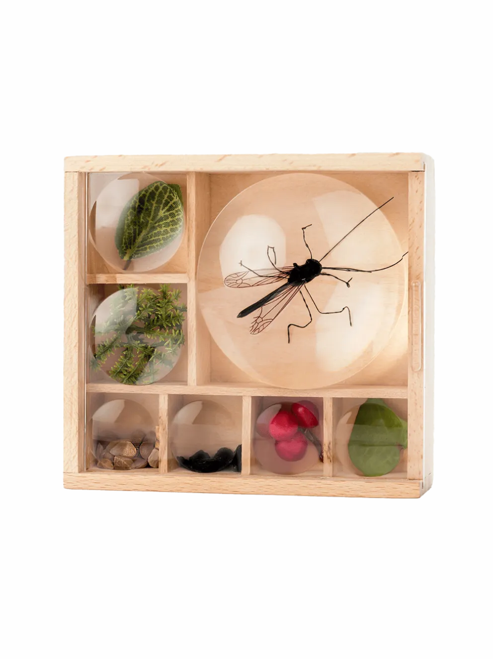 Organizer na skarby Huckleberry My Little Museum