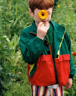 Pansy Jacket Color Block