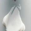 Perfumowany krem do rąk I Am Verdant