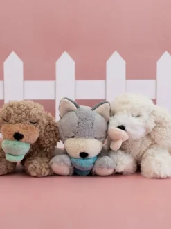 Piesek z magnetycznym smoczkiem Binky Puppy
