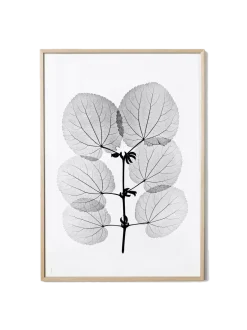 Plakat Katsura