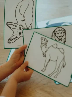 Podświetlany tablet do rysowania Kidydraw Mini Animals Around The World
