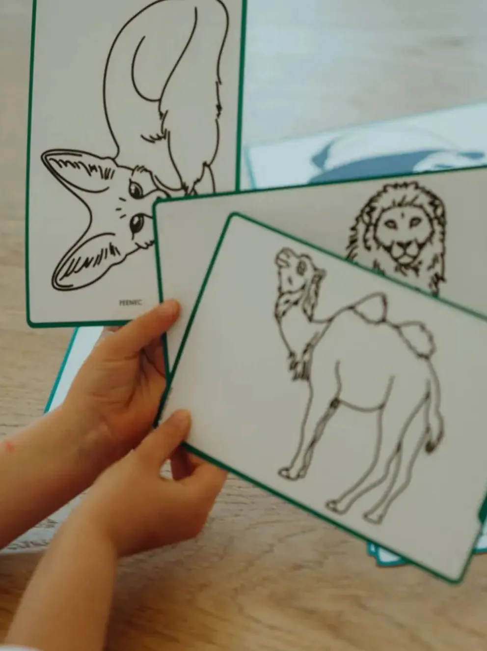 Podświetlany tablet do rysowania Kidydraw Mini Animals Around The World
