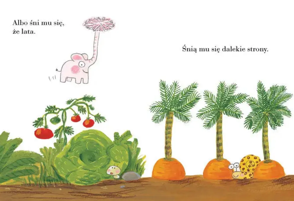 Pomelo śni