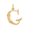 Pozłacana zawieszka Initial Muse Necklace Charm
