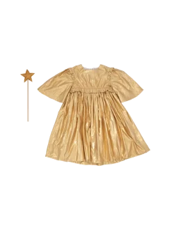 Przebranie wróżka