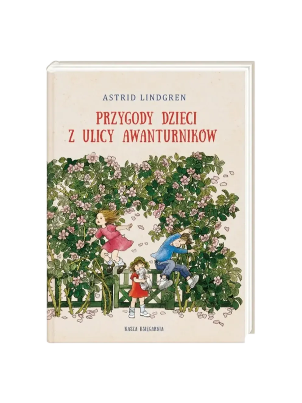 Przygody Dzieci Z Ulicy Awanturników