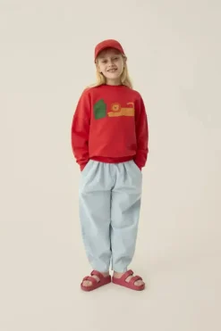 Reading Lion Sweatshirt